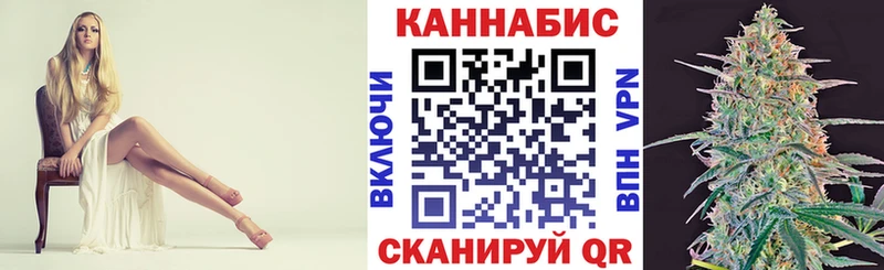 как найти   Котлас  Марихуана ГИДРОПОН 